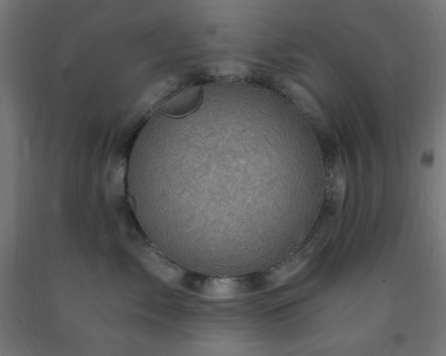 X0000093250717200710031604