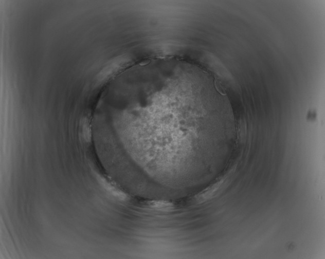 X0000093250719200710031604