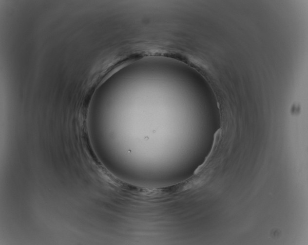 X0000093250720200710031604