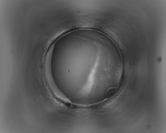 X0000093250721200710031603