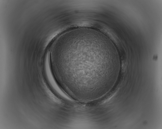 X0000093250725200710031603