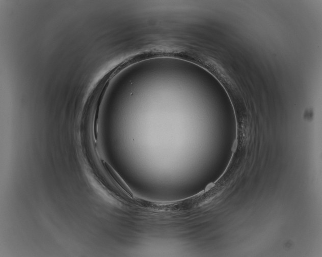 X0000093250726200710031603