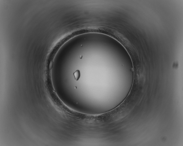 X0000093250728200710031603