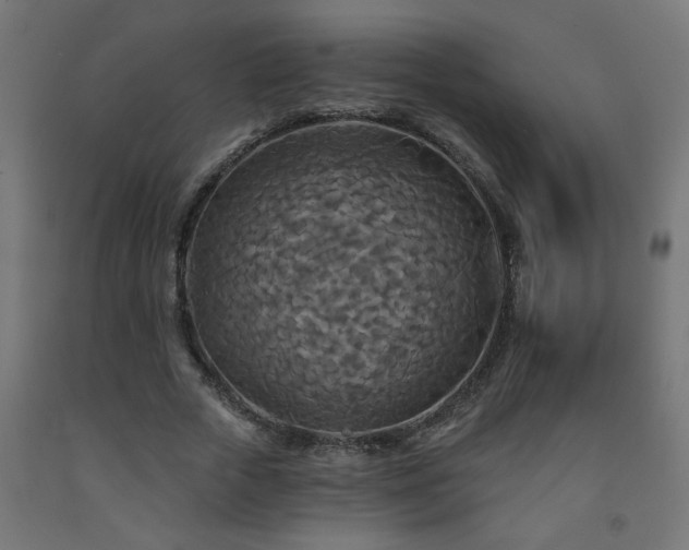 X0000093250729200710031603