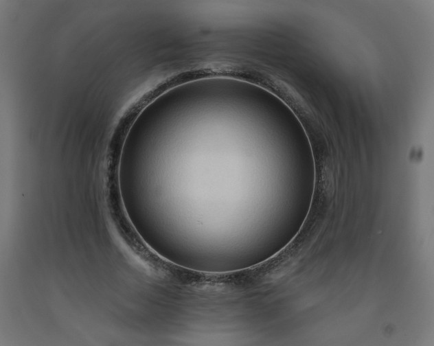 X0000093250730200710031603