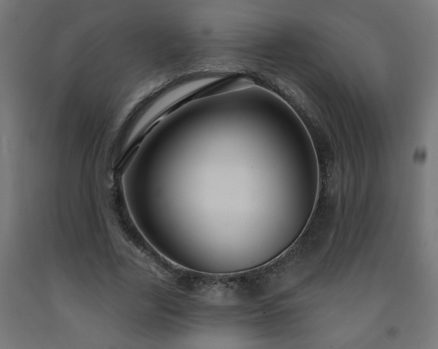 X0000093250731200710031603