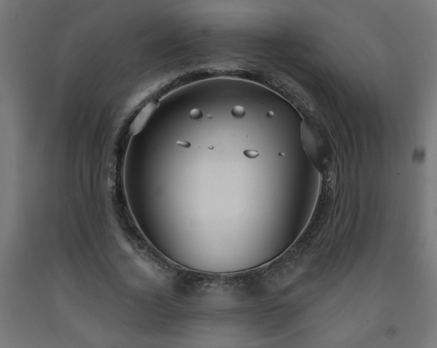 X0000093250732200710031603