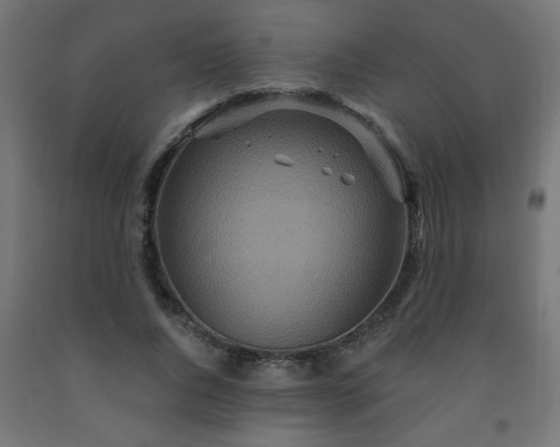 X0000093250736200710031603