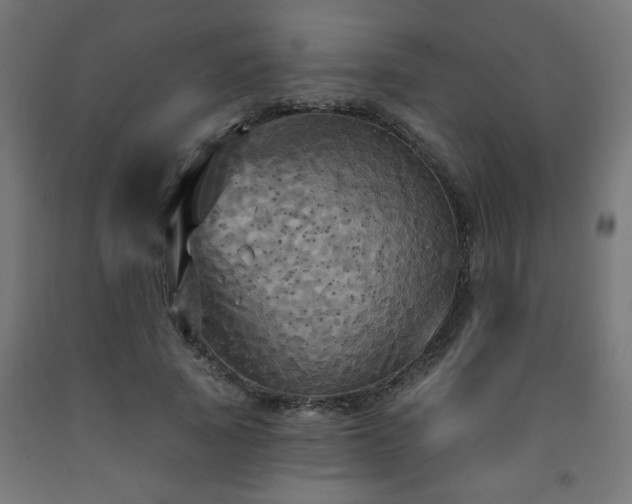 X0000093250737200710031603