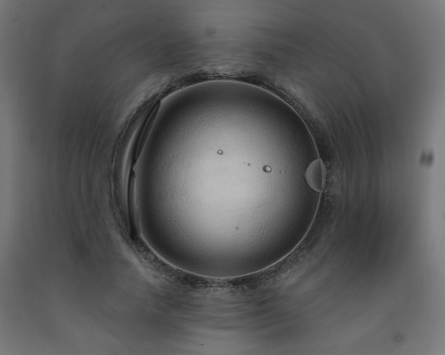 X0000093250738200710031603