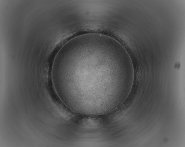 X0000093250739200710031603