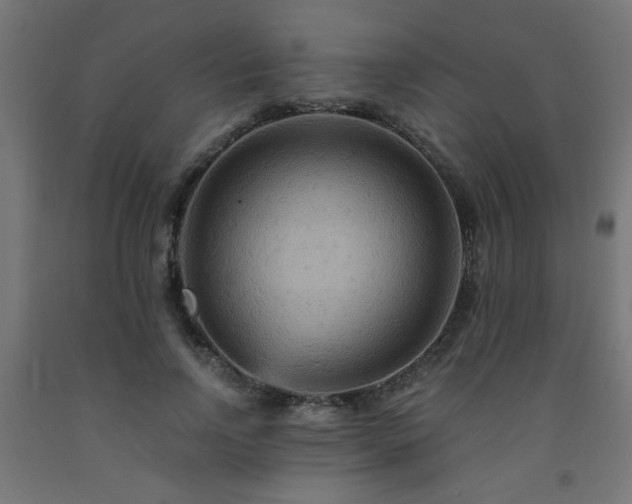 X0000093250742200710031603