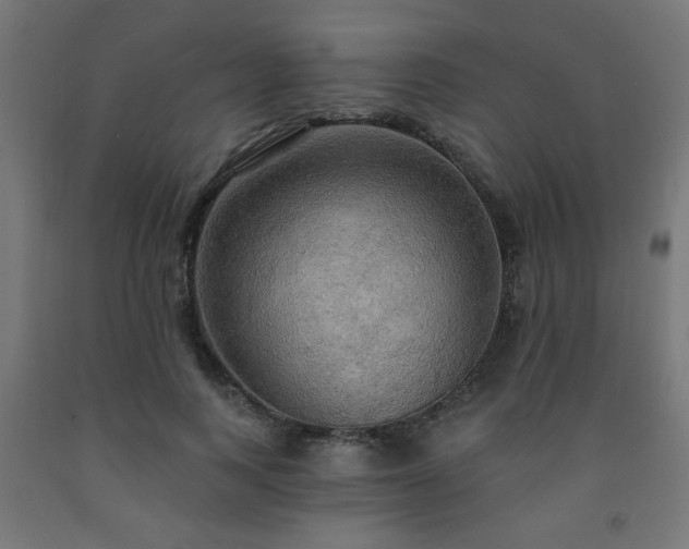 X0000093250743200710031603