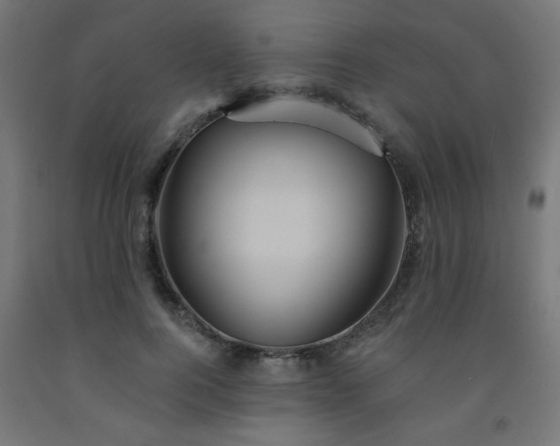 X0000093250744200710031603