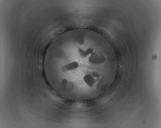 X0000093250745200710031603