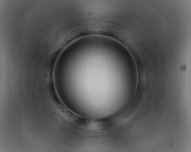 X0000093250746200710031604