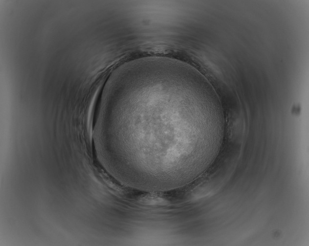 X0000093250747200710031604