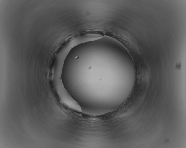 X0000093250748200710031604