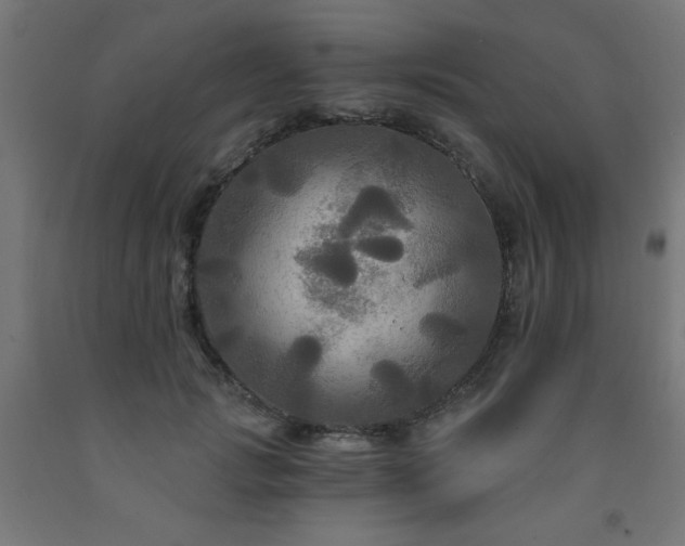 X0000093250749200710031604