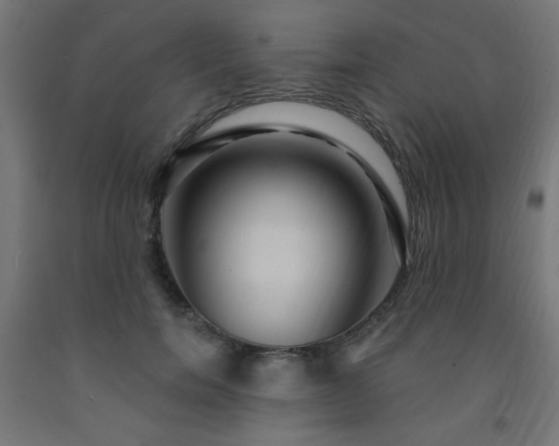 X0000093250750200710031604