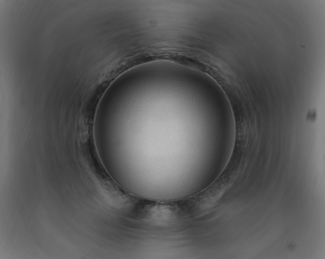 X0000093250751200710031604