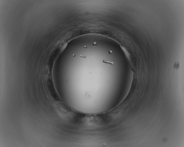 X0000093250752200710031604