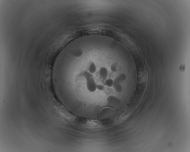 X0000093250753200710031604