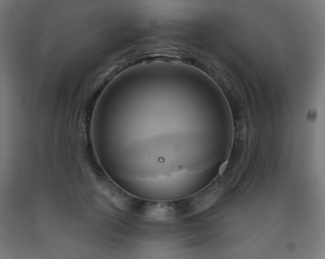 X0000093250754200710031604