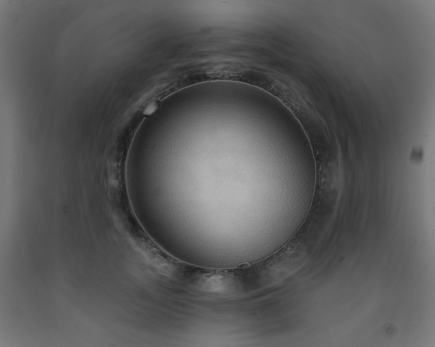 X0000093250755200710031604