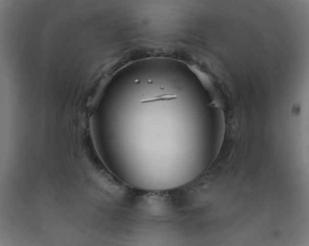 X0000093250756200710031604