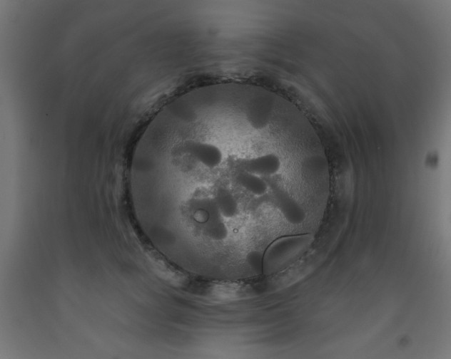 X0000093250757200710031604