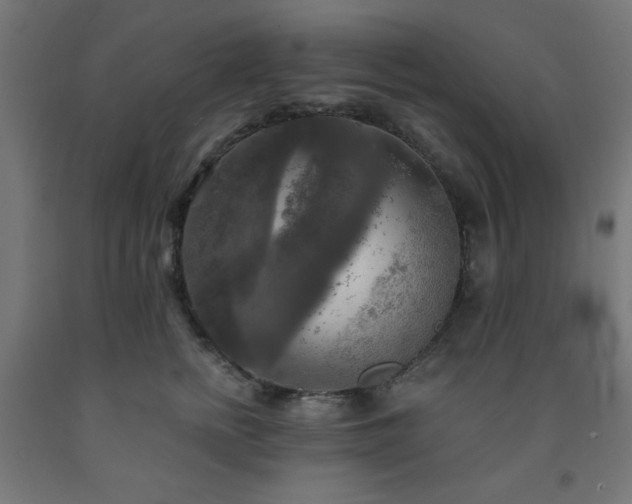 X0000093250758200710031604