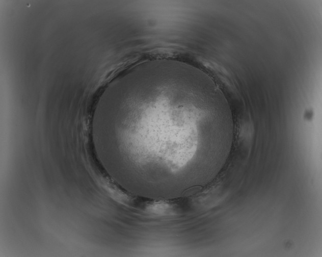 X0000093250759200710031604