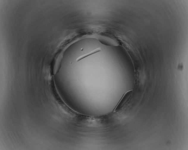 X0000093250760200710031604