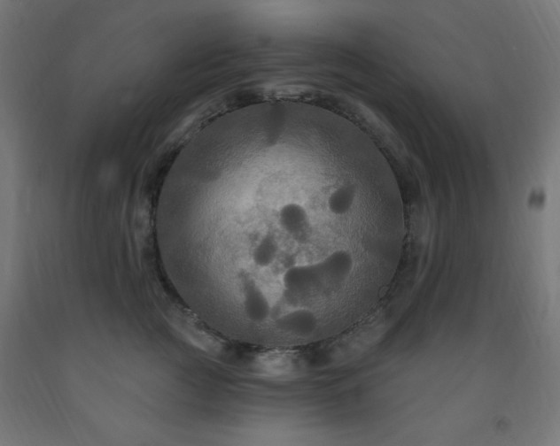 X0000093250761200710031604