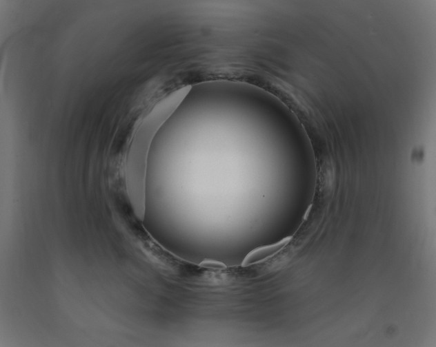 X0000093250764200710031604