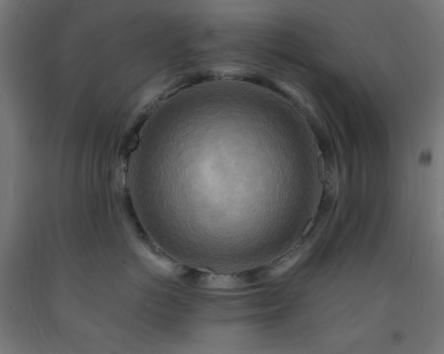 X0000093250766200710031604