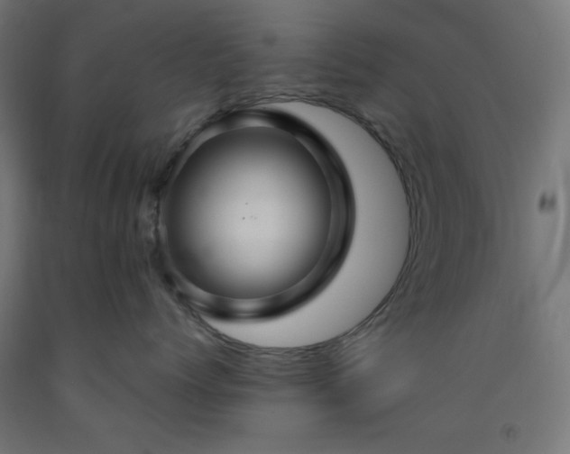 X0000093250768200710031604