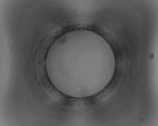 X0000093250769200710031603