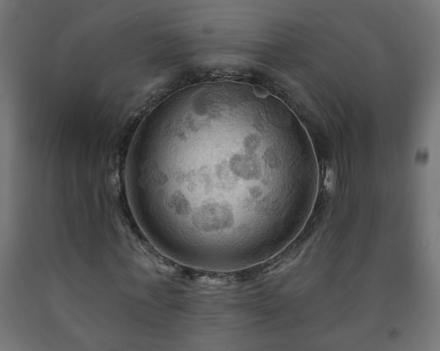 X0000093250771200710031603