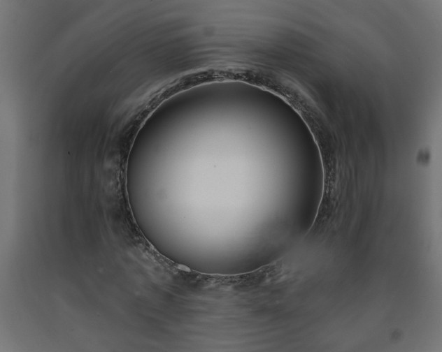 X0000093250773200710031603