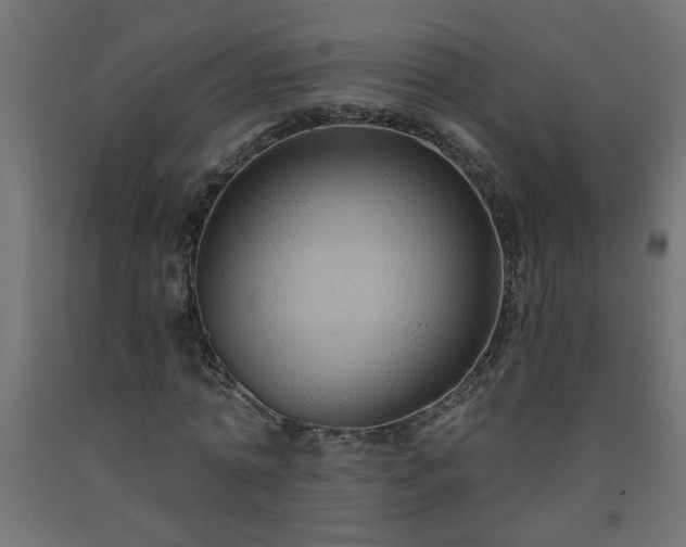 X0000093250774200710031603