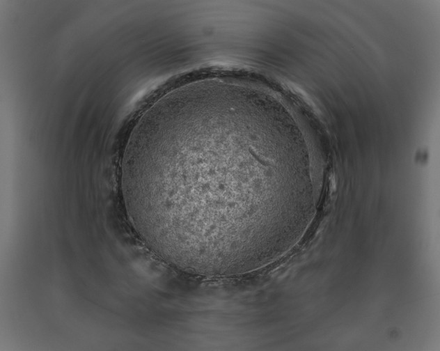 X0000093250776200710031603