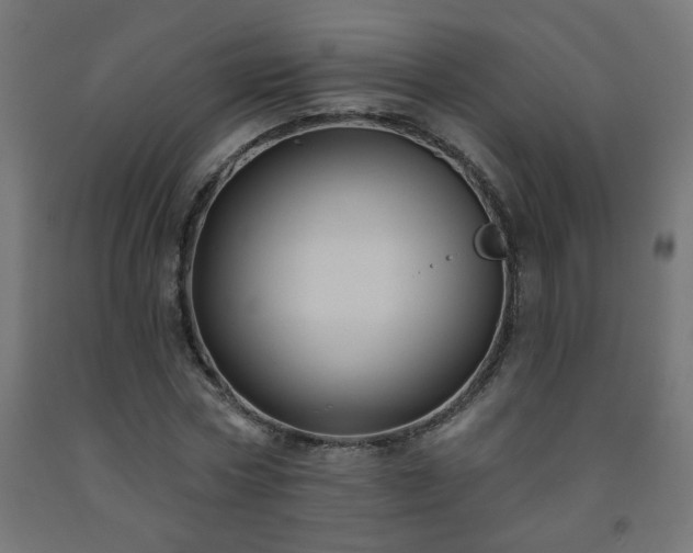 X0000093250778200710031603