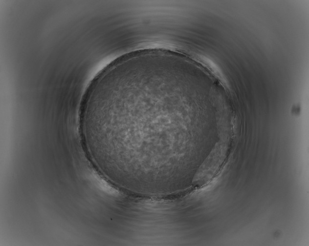 X0000093250780200710031603