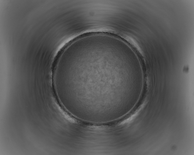 X0000093250781200710031603