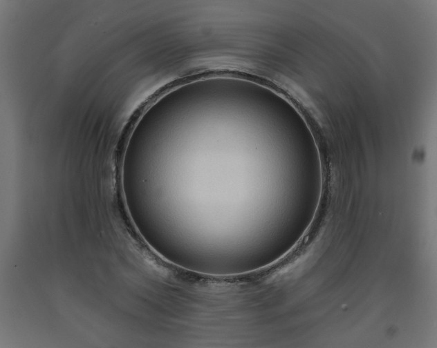 X0000093250782200710031603