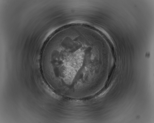 X0000093250783200710031603