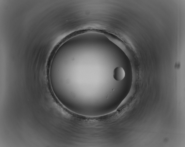 X0000093250784200710031603