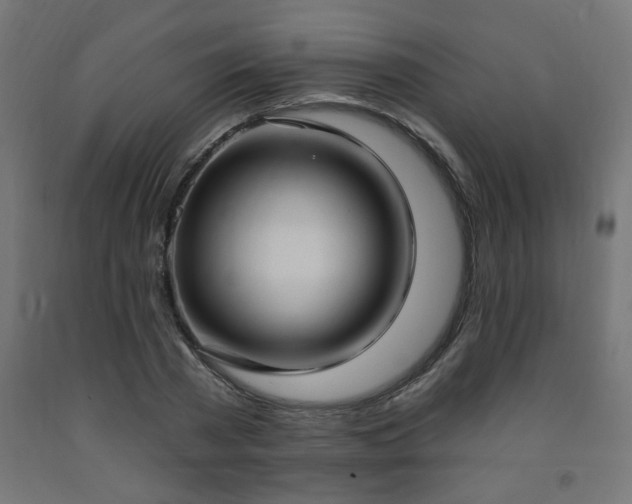 X0000093250785200710031603